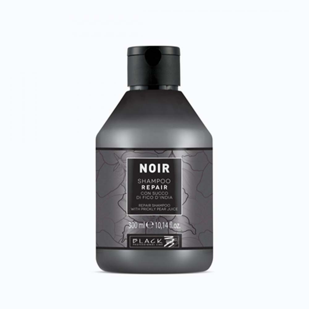 Shampoo Riparatore per Capelli Secchi e Districati 300 ml Noir Black Professional